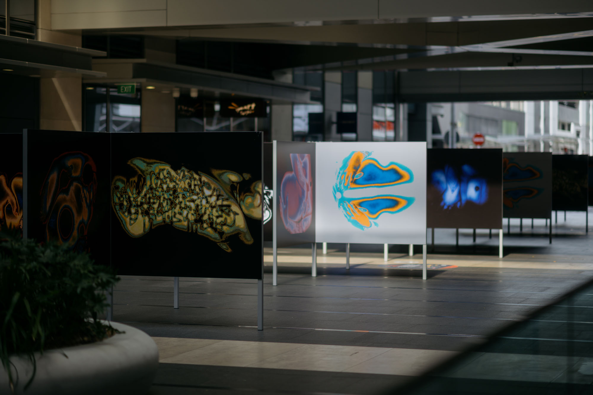 britomart_pride_feb2022_1511_zds_4446_web-19.jpg